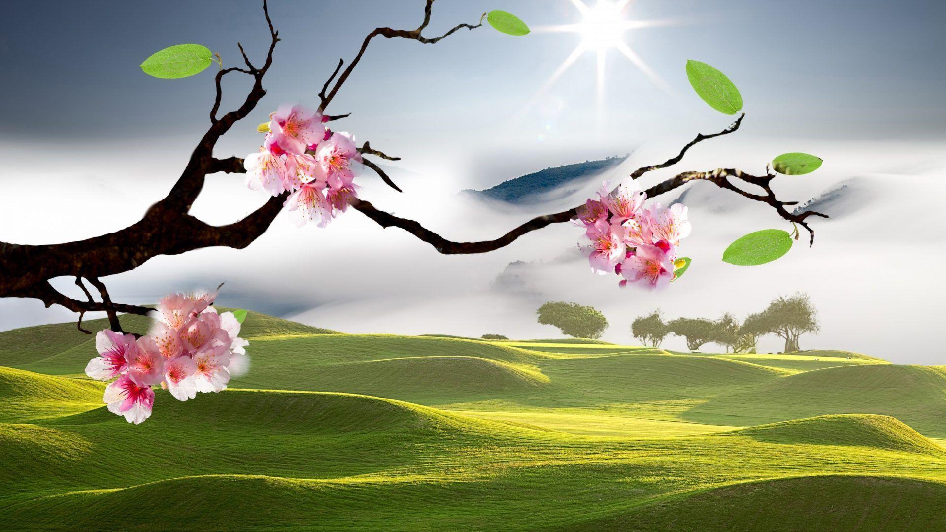 1920x1080 Japan Tag wallpaper: Flowers Blossom Grass Japanese Spring