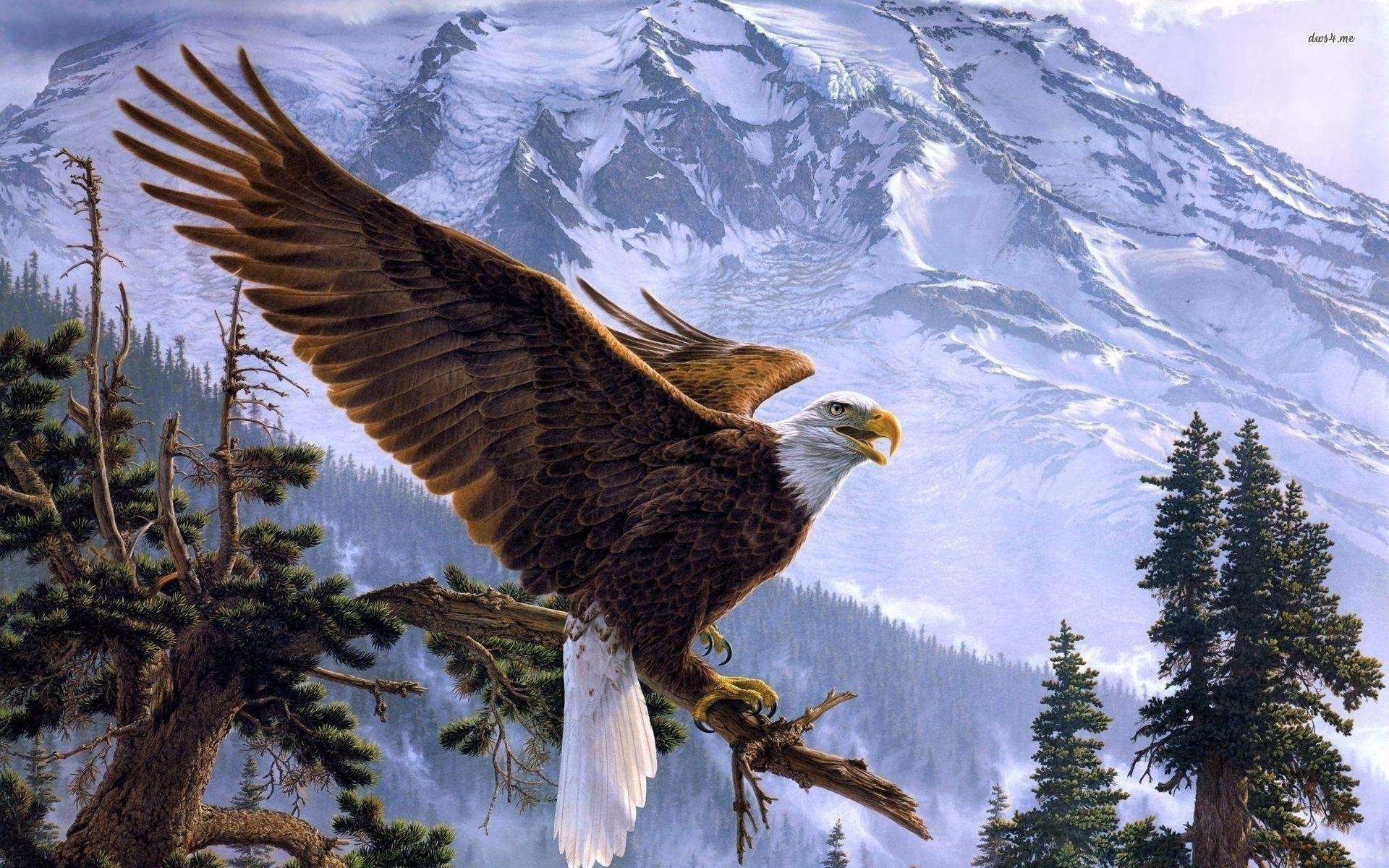 1920x1200 Bald Eagle Wallpaper