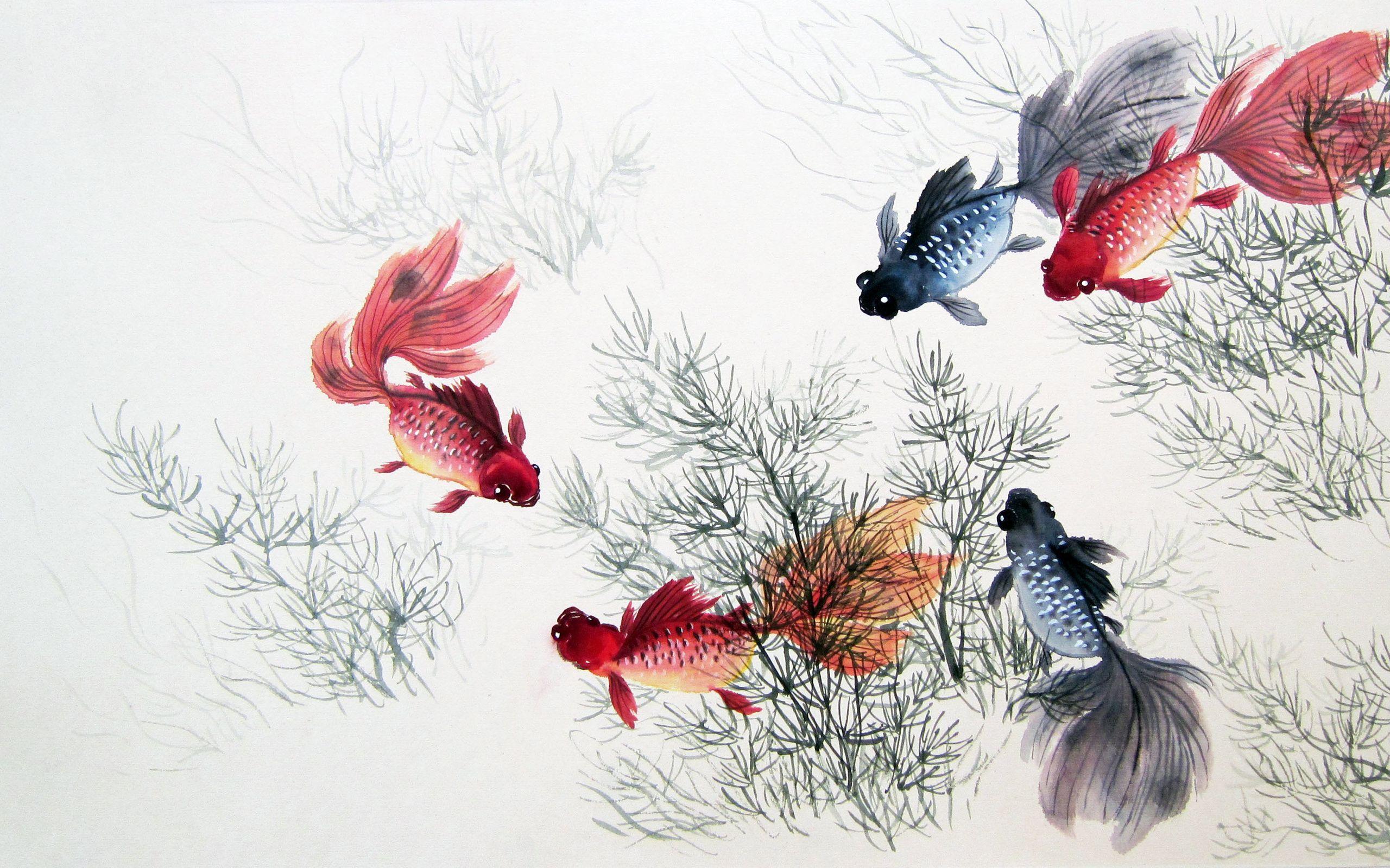 Chinese Fish Wallpapers - Top Free Chinese Fish Backgrounds -  WallpaperAccess