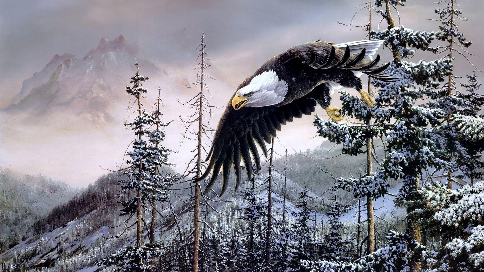 1920x1080 Bald Eagle Wallpaper