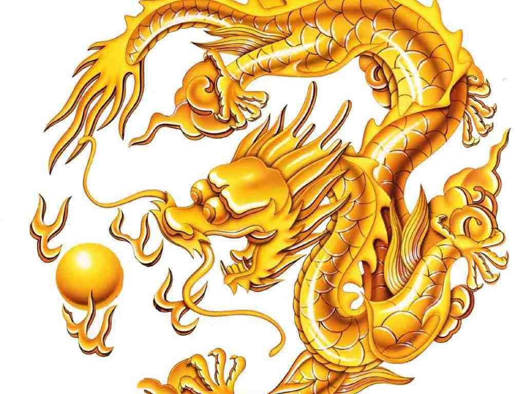 Gold Dragon Wallpapers Top Free Gold Dragon Backgrounds WallpaperAccess