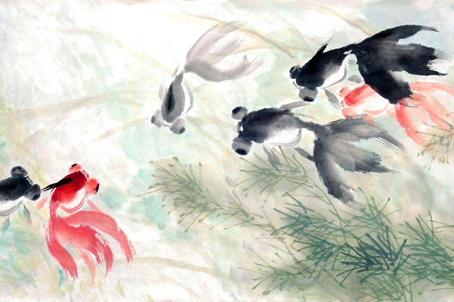 1500x1000 Chinese Black Fish Wallpaper