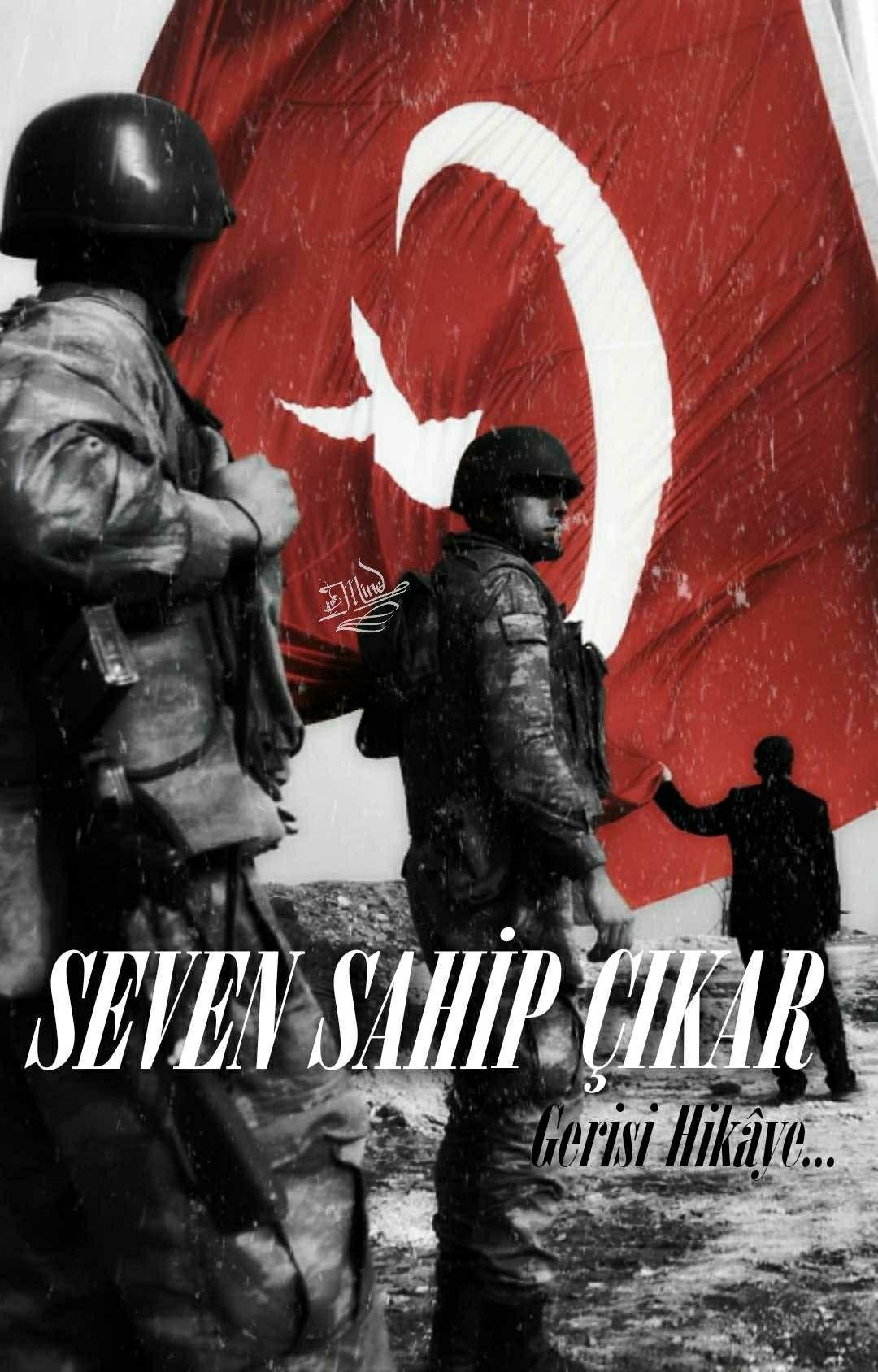 1080x1688 Asker Resimli Bayrak HD Wallpaper