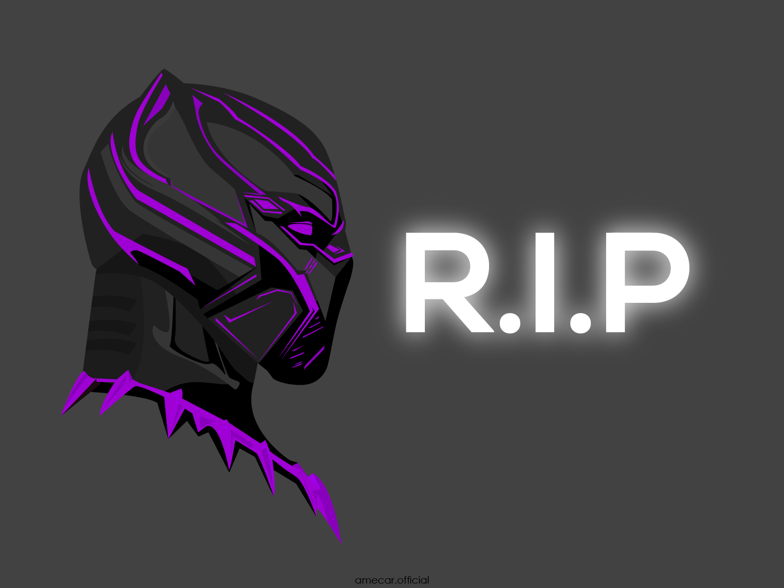 Rip Black Panther Wallpapers Top Free Rip Black Panther Backgrounds Wallpaperaccess