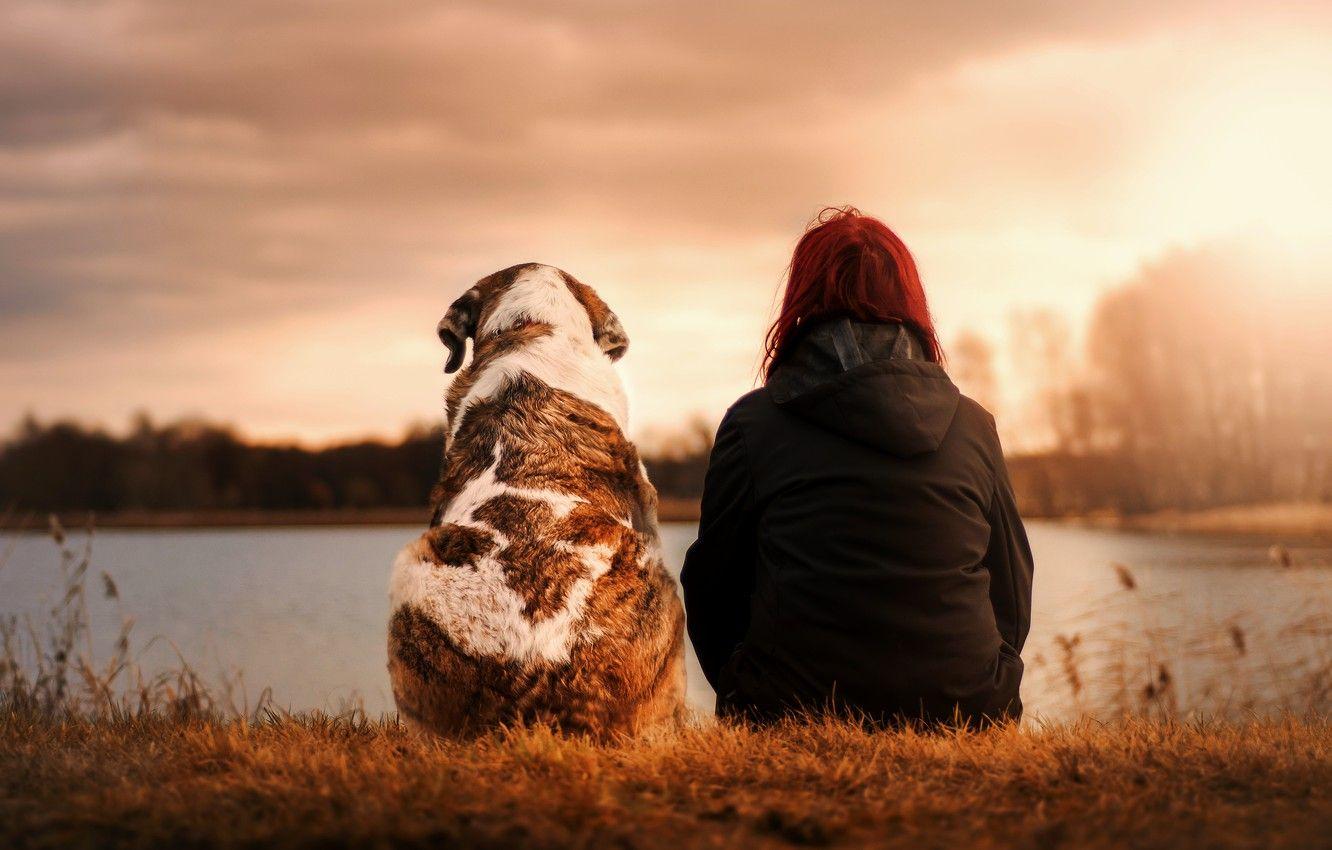 1332x850 Wallpaper girl, sunset, dog, moody, best friend image for desktop, section девушки