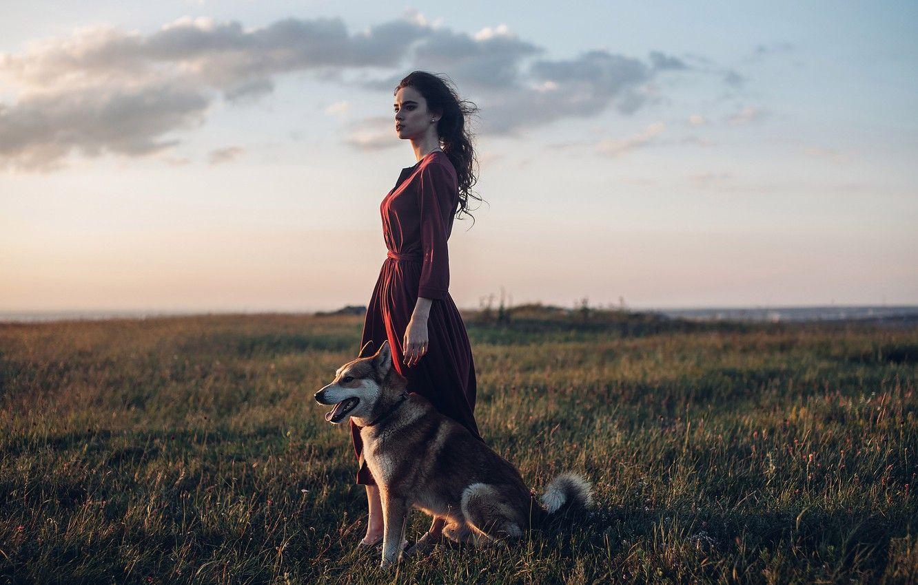 1332x850 Wallpaper girl, dog, dress, meadow, Rome Rome image for desktop, section настроения