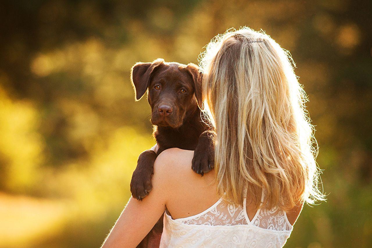 Girl And Dog Wallpapers - Top Free Girl And Dog Backgrounds