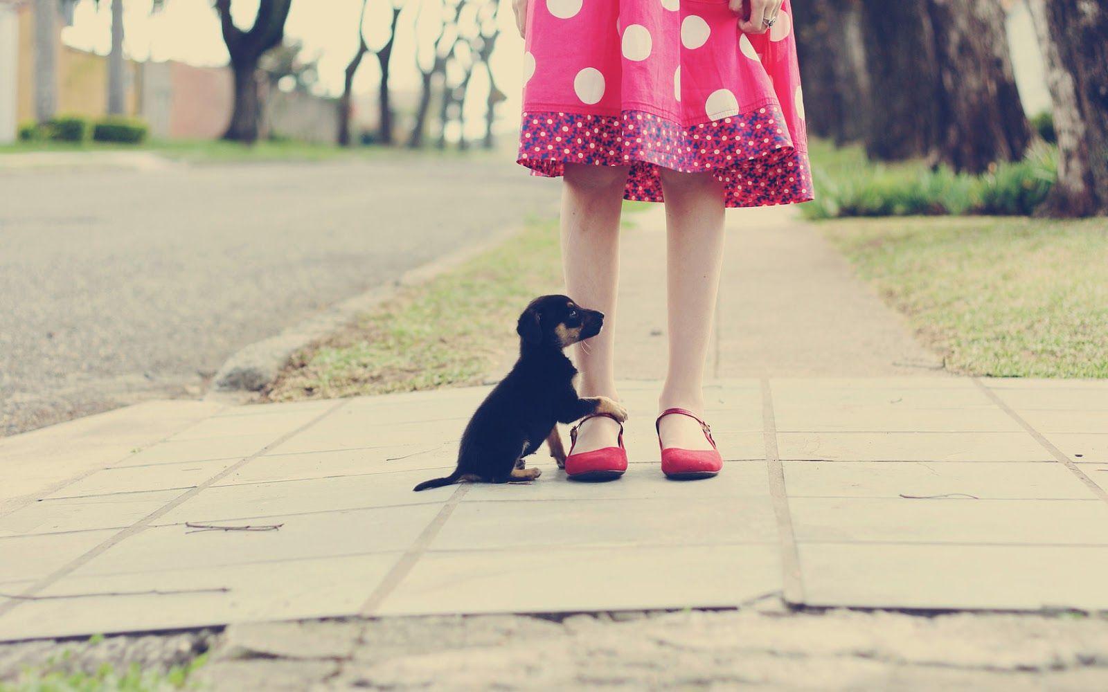 1600x1000 Girl in dress with her little puppy dog. HD Animals Wallpaper
