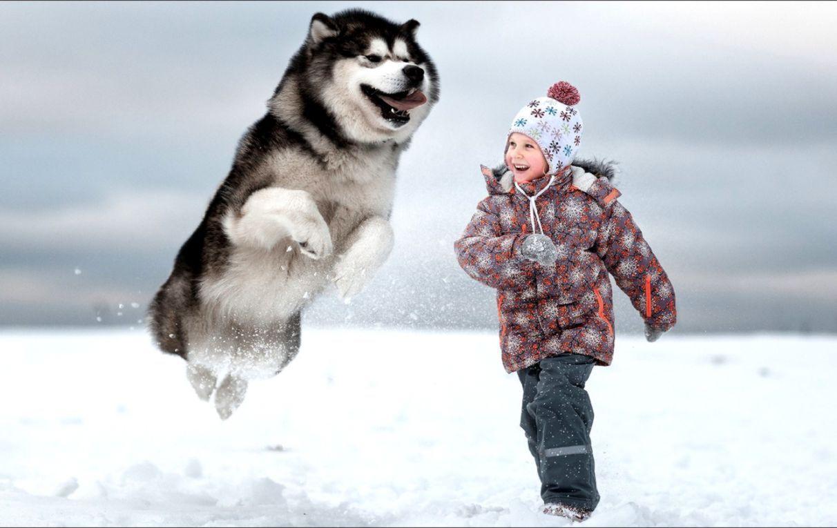 1212x765 Girl And Dog Wallpaper Kids