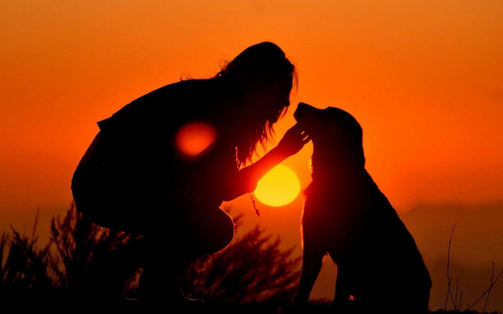1920x1200 the, Sky, Dog, Silhouettes, Sunset, The, Sun, Girl Wallpaper HD / Desktop and Mobile Background