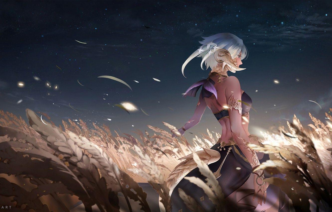 1332x850 Wallpaper Girl, Field, The game, Girl, Art, Night, Spikelets, Illustration, Final Fantasy XIV, Game Art, by Lizhe Liang, Lizhe Liang, Ziv, The Ra image for desktop, section арт