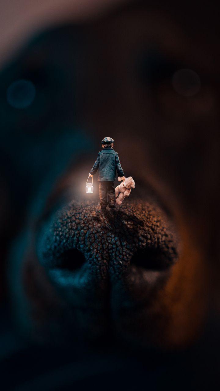 720x1280 Black Wallpaper. Animal wallpaper, Double exposure, Animals
