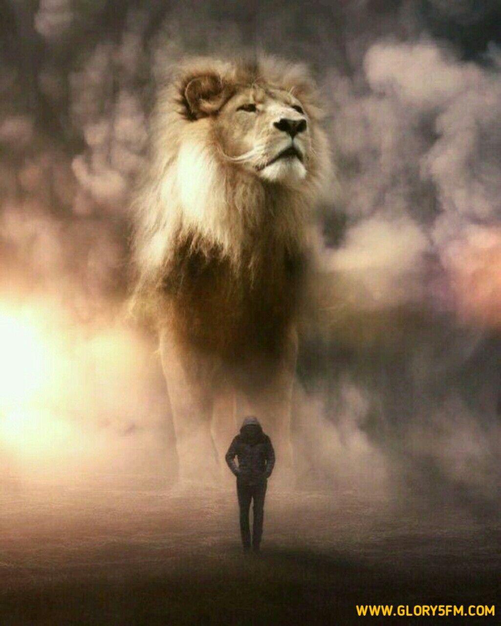 1025x1280 Lion of Judah has got your back. Lone man walking with the King of Kings looking after him. Prophetic art. Giant animals, Lion wallpaper, Lion picture