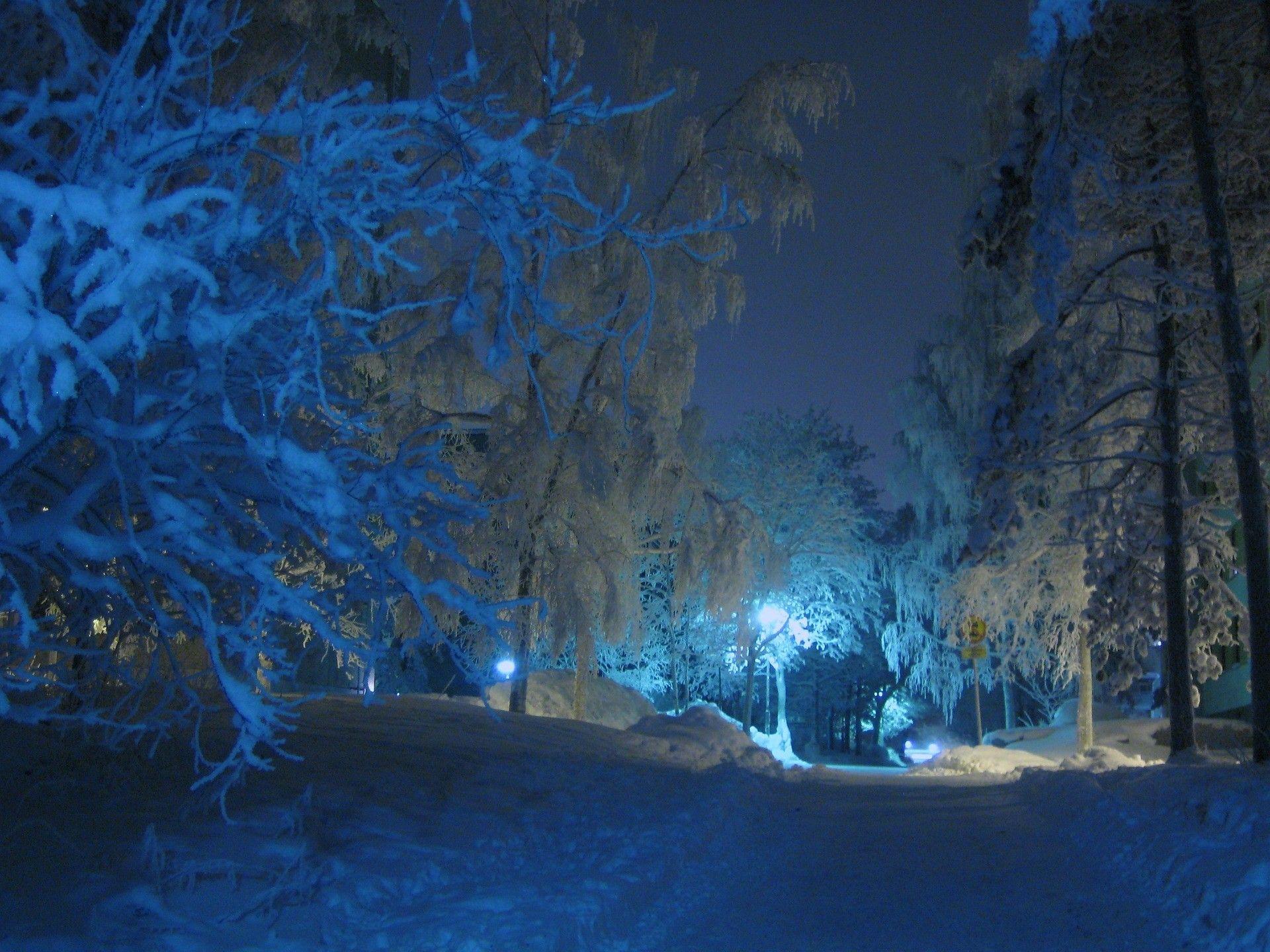 1920x1440 Winter: Winter Nature Night Forest Wallpaper Holidays for HD 16:9