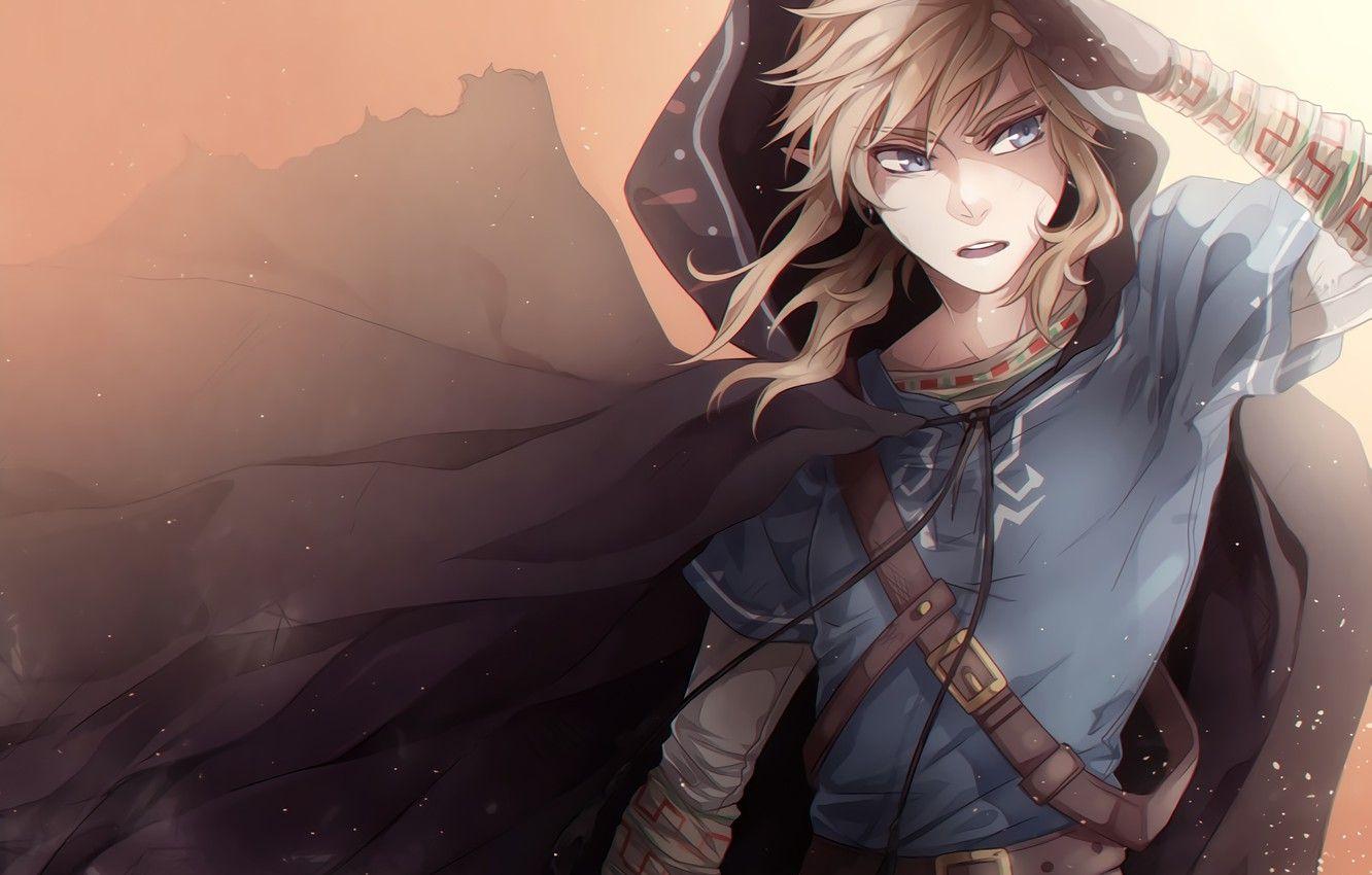 1332x850 Wallpaper Nintendo, Game, Link, The Legend Of Zelda: Breath Of The Wild image for desktop, section игры