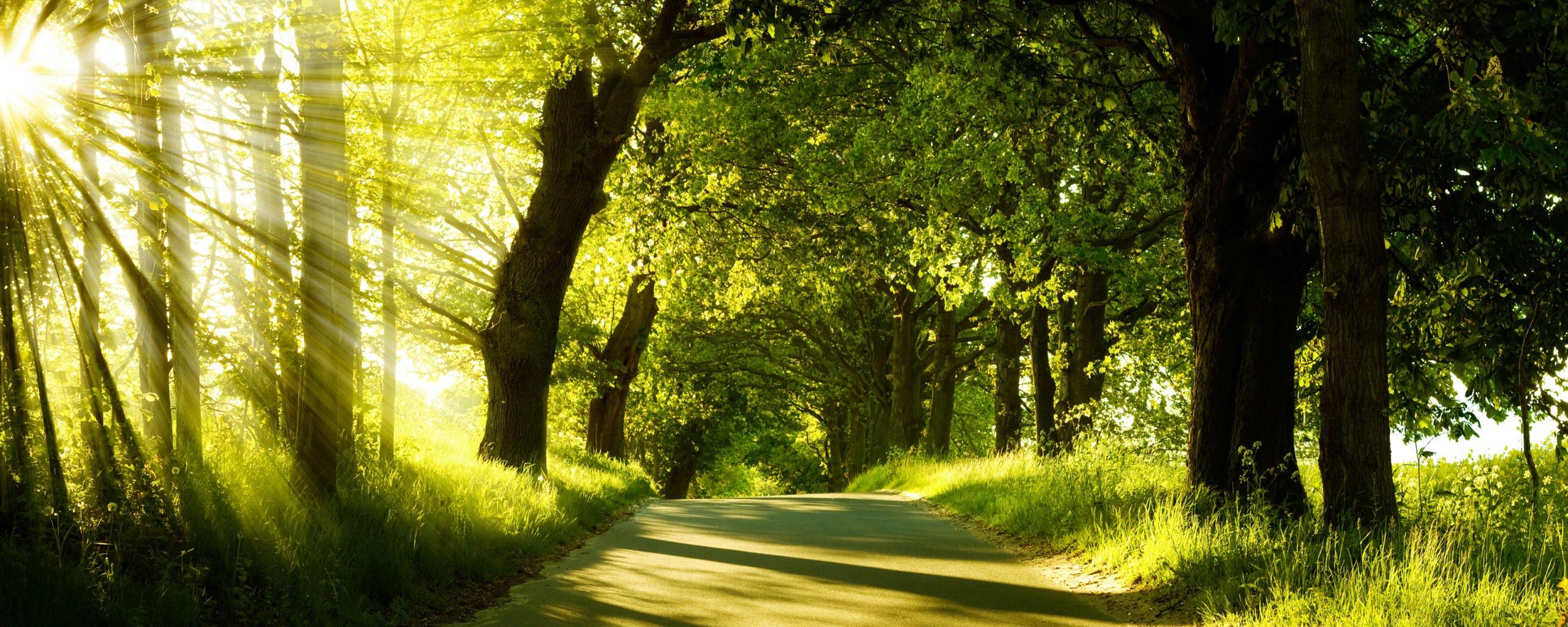 2560x1024 Dual Monitor Wallpaper 2560×1024 Definition Wallpaper. Daily Screens Id 2187