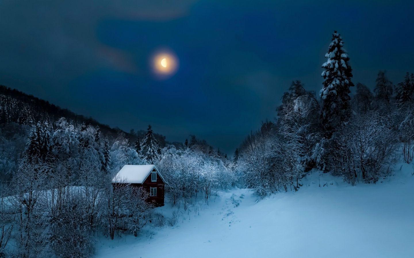 1440x900 Download wallpaper 1440x900 building, winter, snow, night, forest