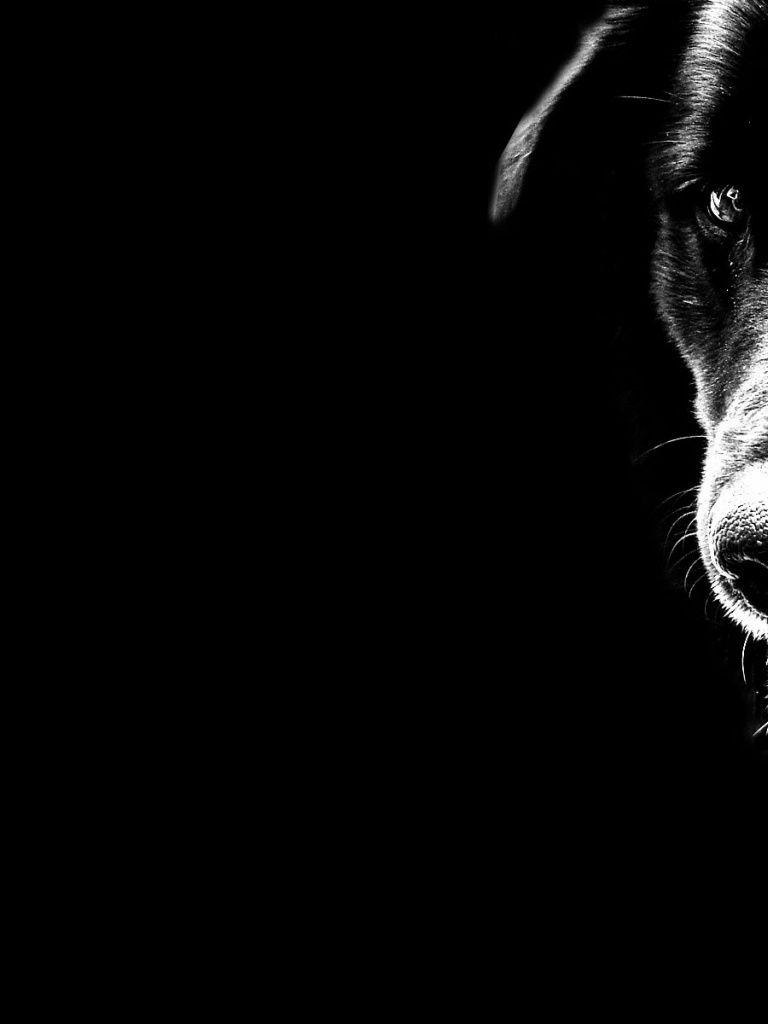 94 Black Aesthetic Wallpaper Dog Pics My