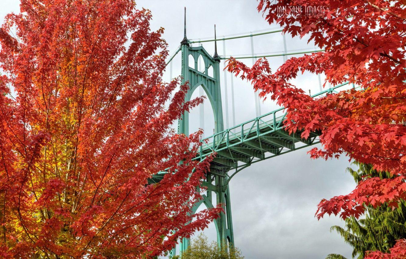 1332x850 Wallpaper colorful, trees, Oregon, bridge, Portland, autumn, leaves, landscapes, bright, 4k ultra HD background, Cathedral Park image for desktop, section пейзажи