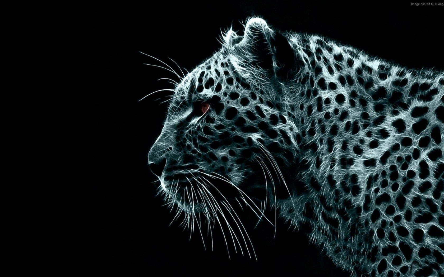 1680x1050 Download Free HD Snow Leopard Wallpaper 1680x1050
