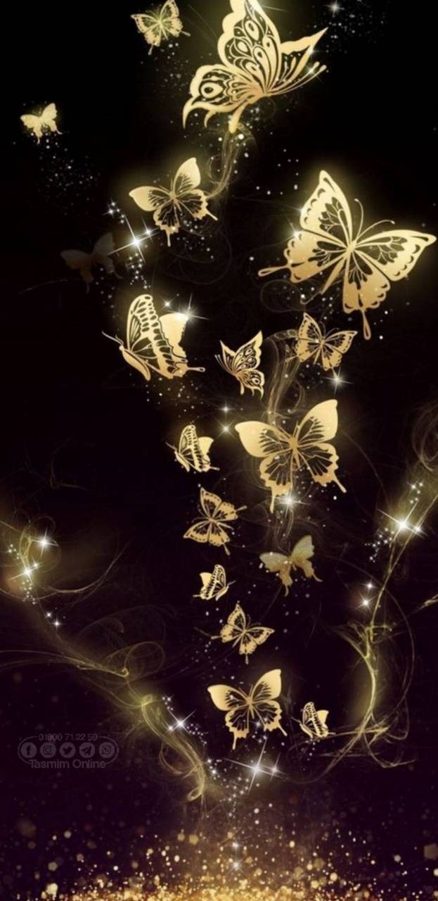 Night Butterfly Wallpapers - Top Free Night Butterfly Backgrounds