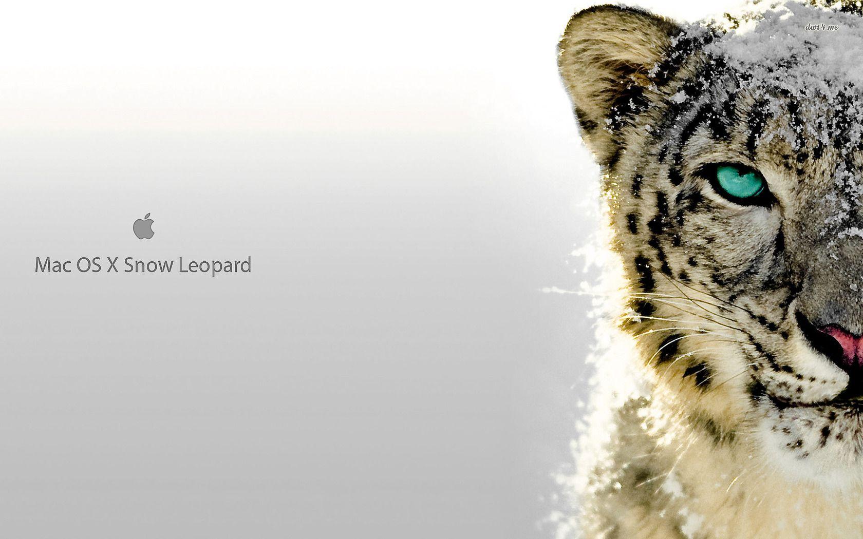 1680x1050 leopard mac od wide HD wallpaper HD wallpaper