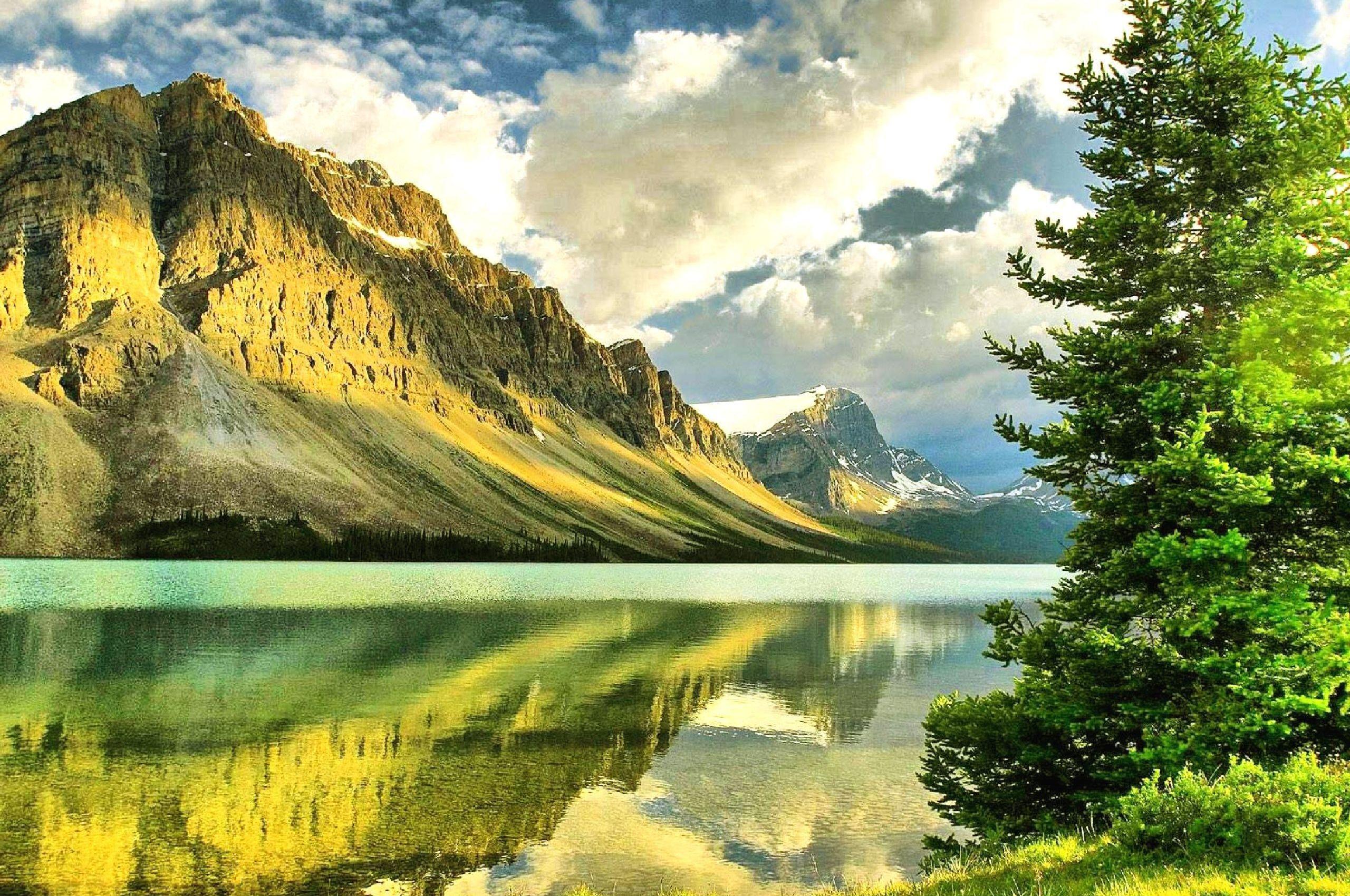 2560x1700 High Quality Nature Wallpaper For Pc Walljpegcom Wallpaper & Background Download