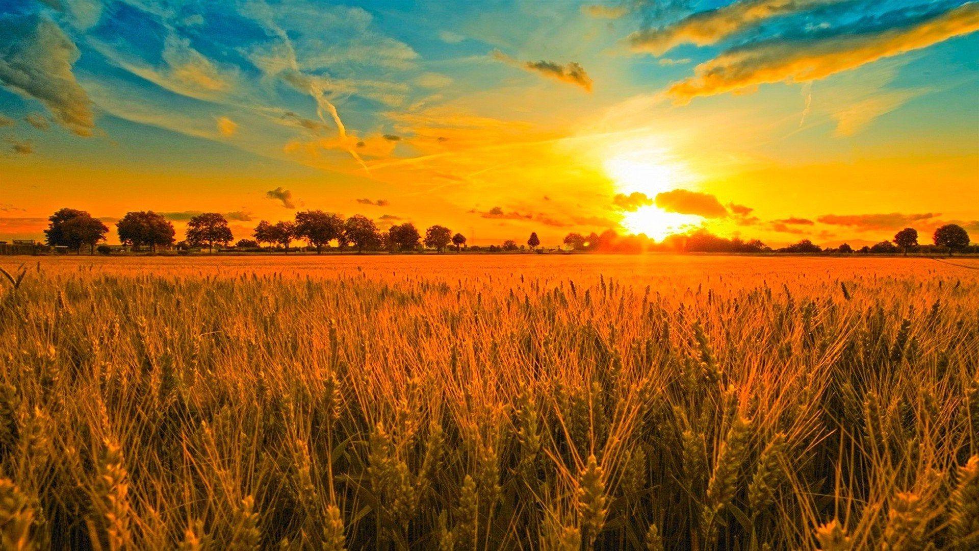 1920x1080 Sunny Nature Sunset high quality desktop wallpaper[1920×1080]