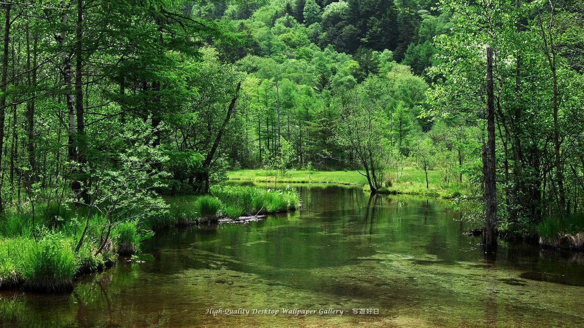 1920x1080 Nature Wallpaper High Resolution Wallpaper