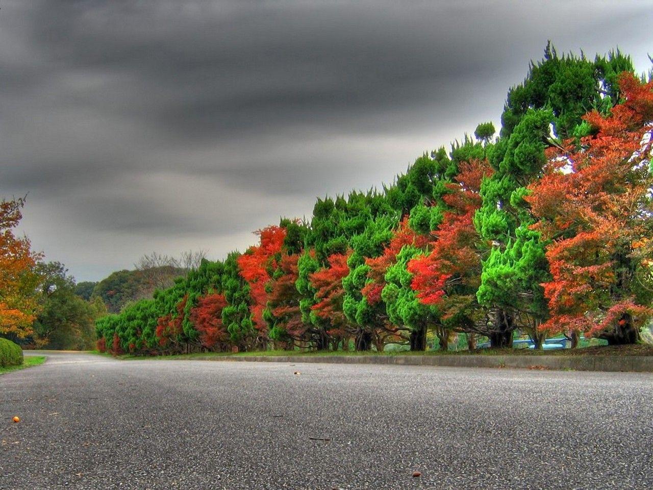 1280x960 Open Road of Nature : High Definition, High Resolution HD Wallpaper