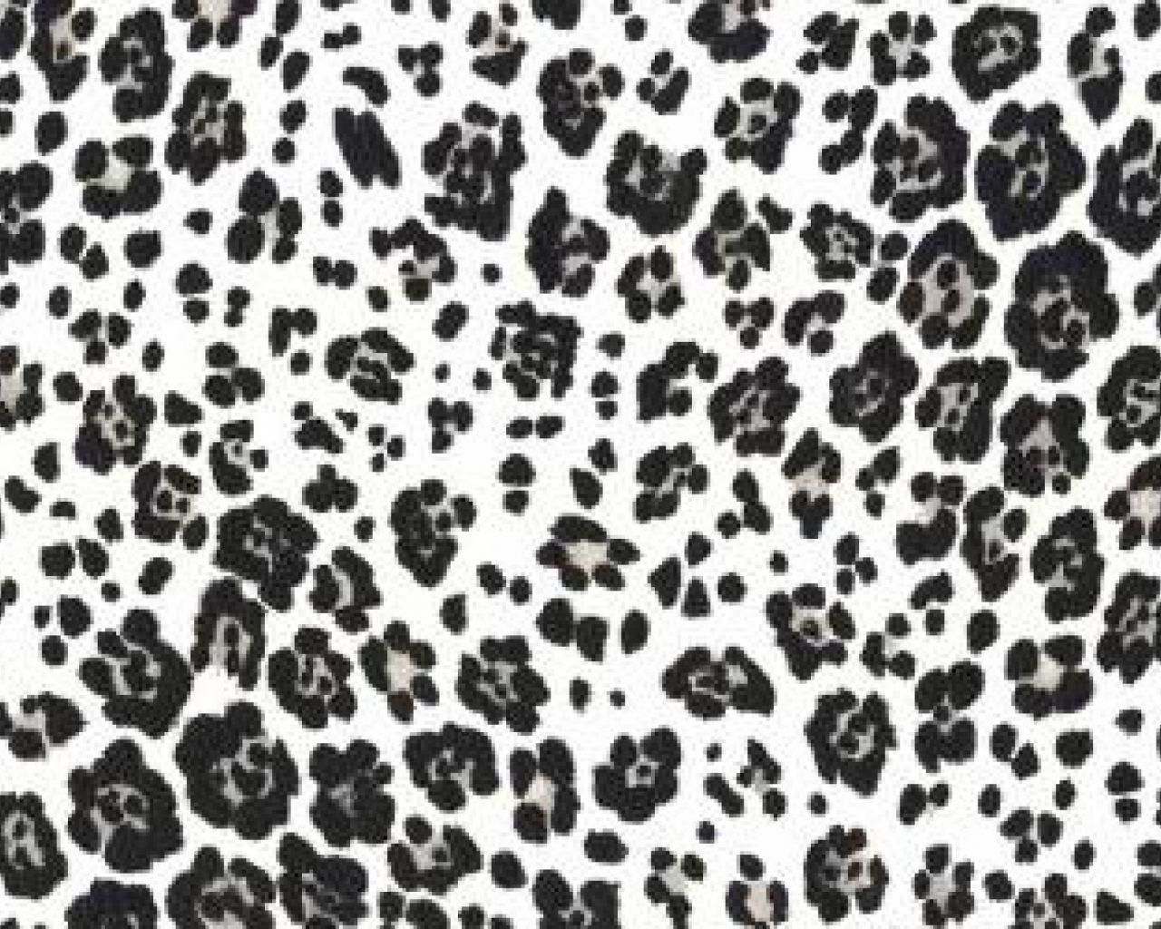 1280x1024 Free download Black and White Leopard Print Wallpaper in High Resolution at Patterns [2560x1600] for your Desktop, Mobile & Tablet. Explore Black and White Printed Wallpaper. Black And White