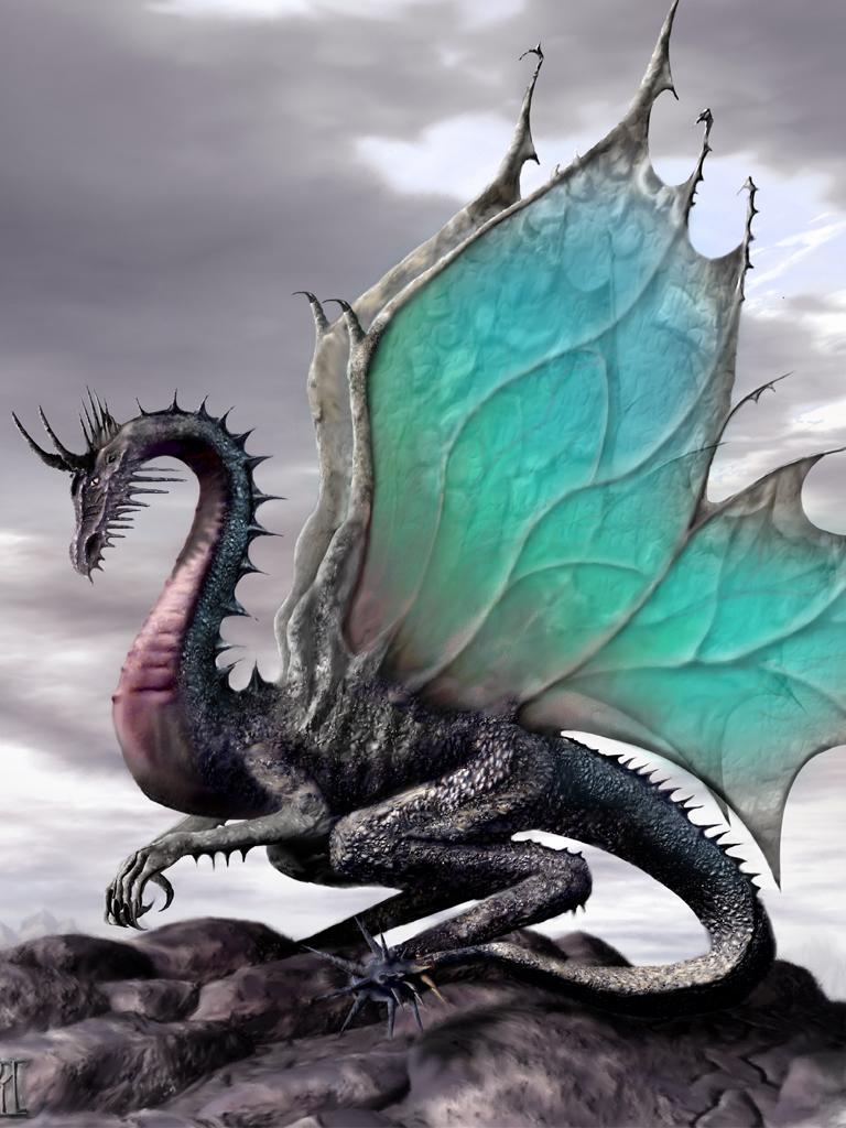 768x1024 Free Dragon Image Free Download, Download Free Clip Art, Free Clip Art on Clipart Library