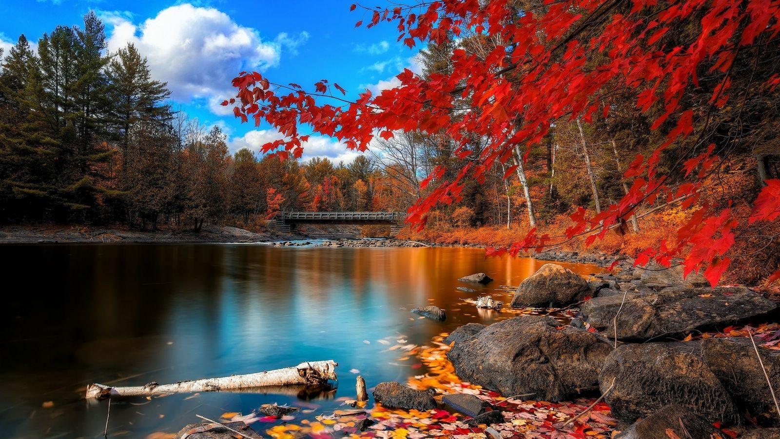 Autumn Water Wallpapers - Top Free Autumn Water Backgrounds -  WallpaperAccess