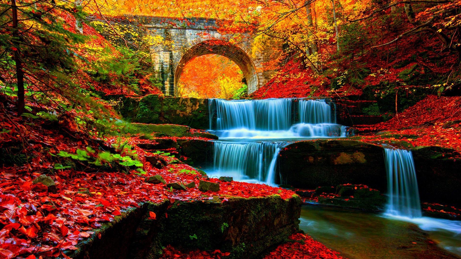 Autumn Water Wallpapers - Top Free Autumn Water Backgrounds ...