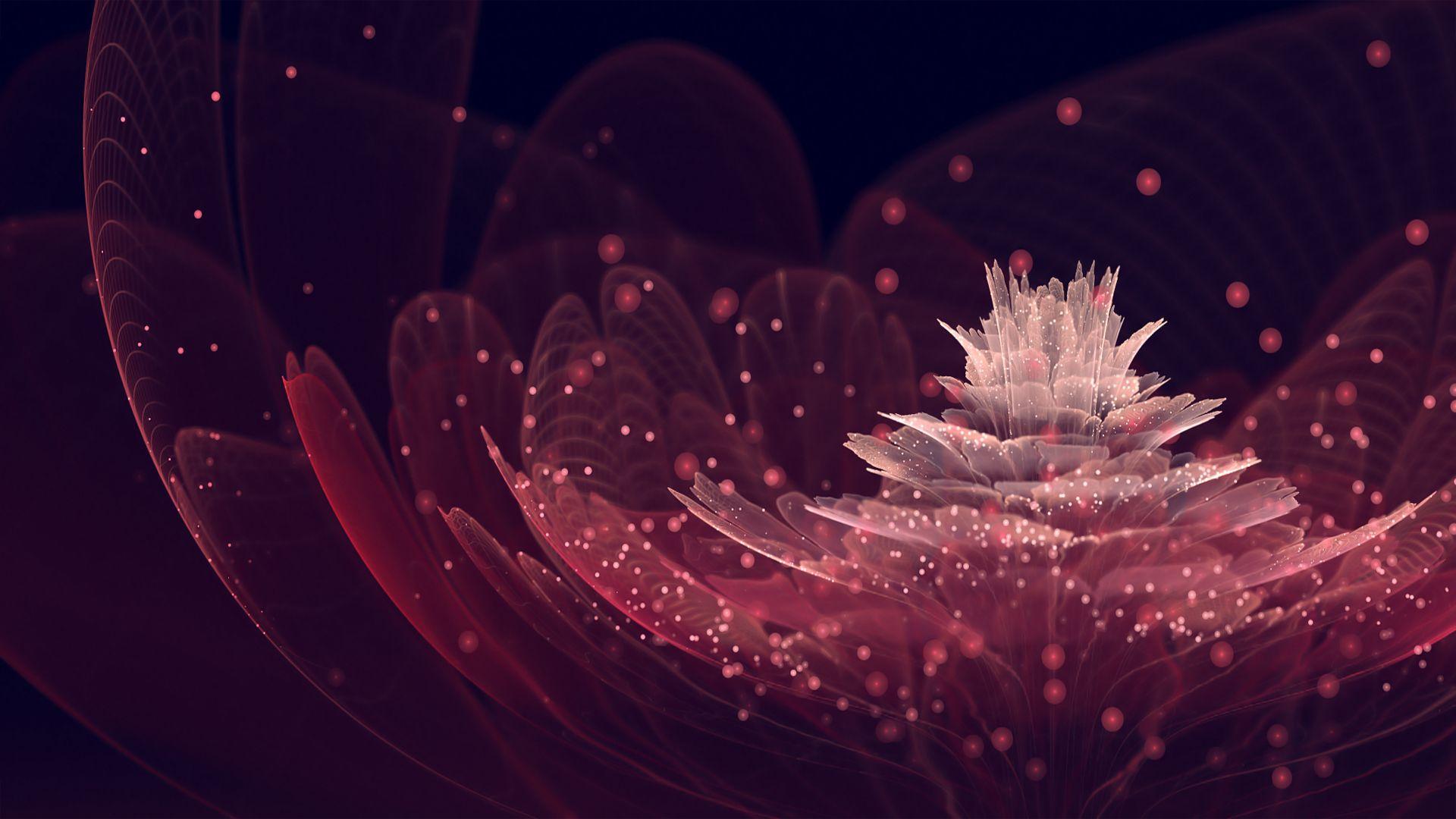 1920x1080 Abstract Flower HD Wallpaperx1080