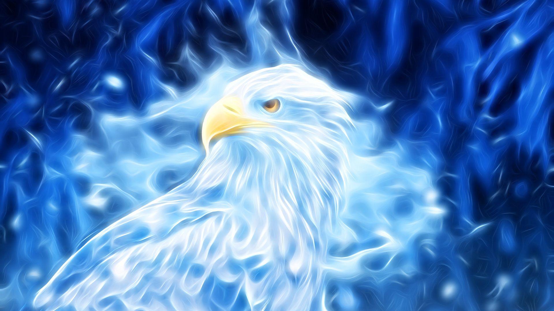 Eagles 1920 X 1080 Wallpapers - Top Free Eagles 1920 X 1080 Backgrounds
