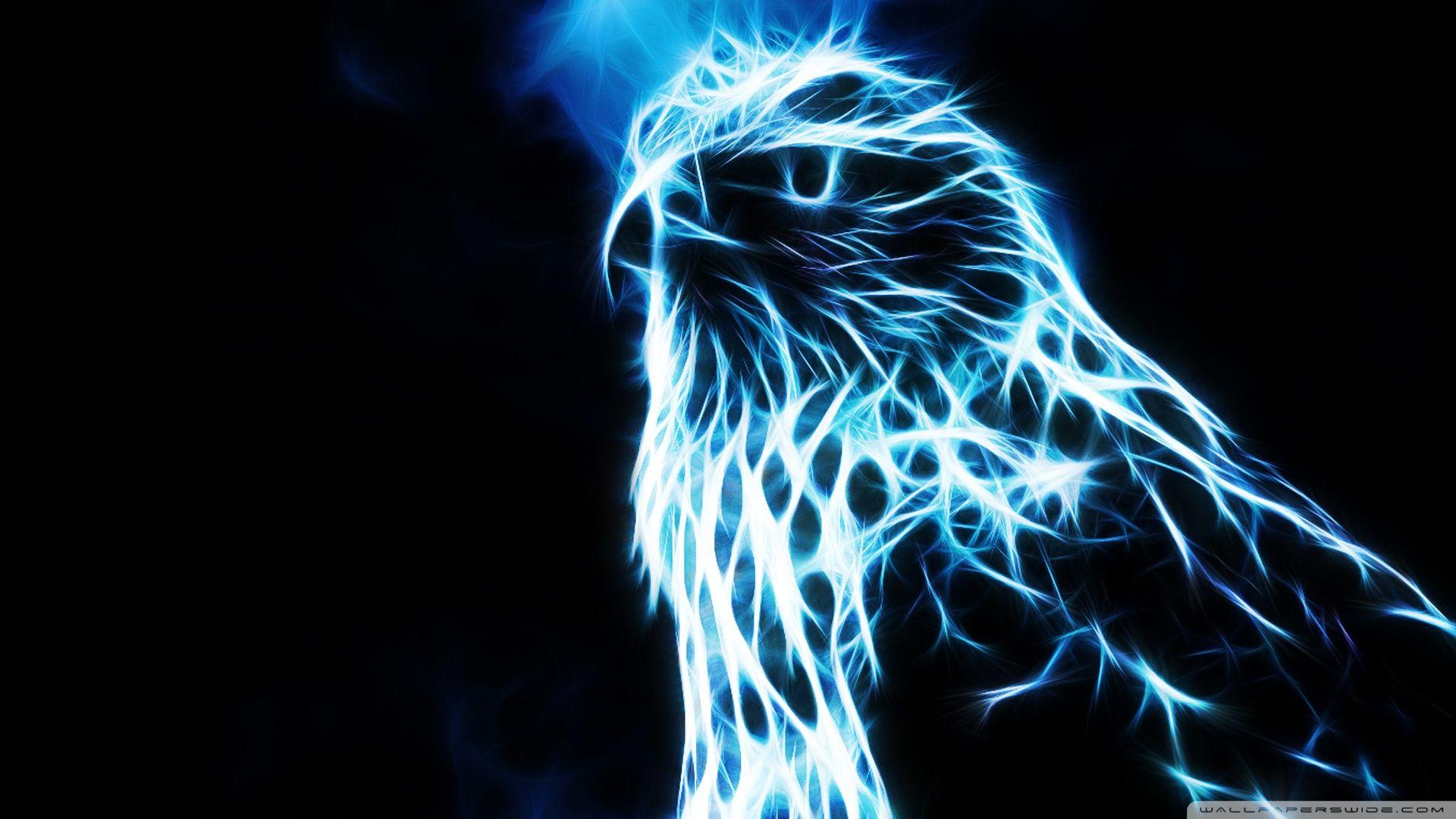 1920x1080 Eagle Ultra HD Desktop Background Wallpaper for 4K UHD TV : Widescreen & UltraWide Desktop & Laptop : Tablet