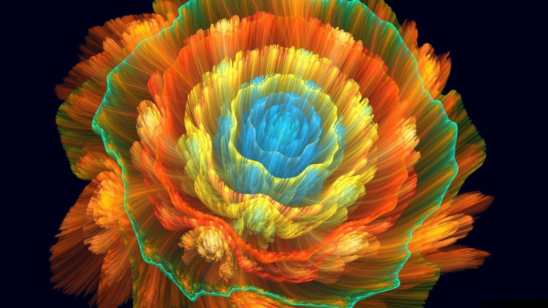 1920x1080 Wallpaper Beautiful abstract flower, colorful 1920x1080 Full HD 2K Picture, Image