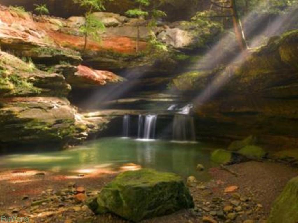 1024x769 wallpaper. nature wallpaper. beautiful wallpaper. new baby