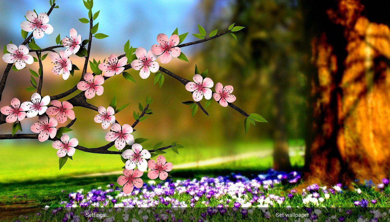 3D Spring Flower Wallpapers - Top Free 3D Spring Flower Backgrounds -  WallpaperAccess