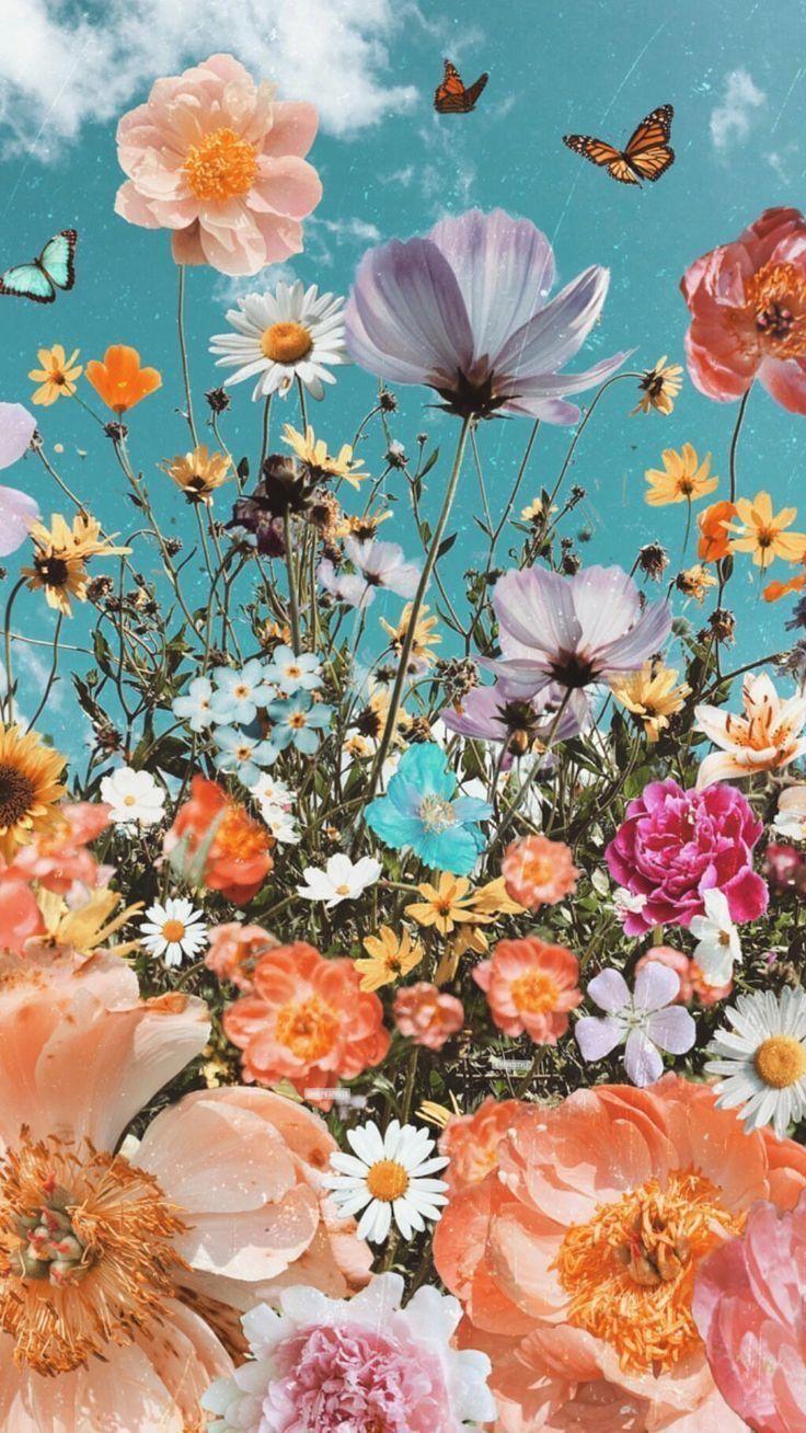 3 Beautiful summer flower iphone flower cute aesthetic HD phone wallpaper   Pxfuel
