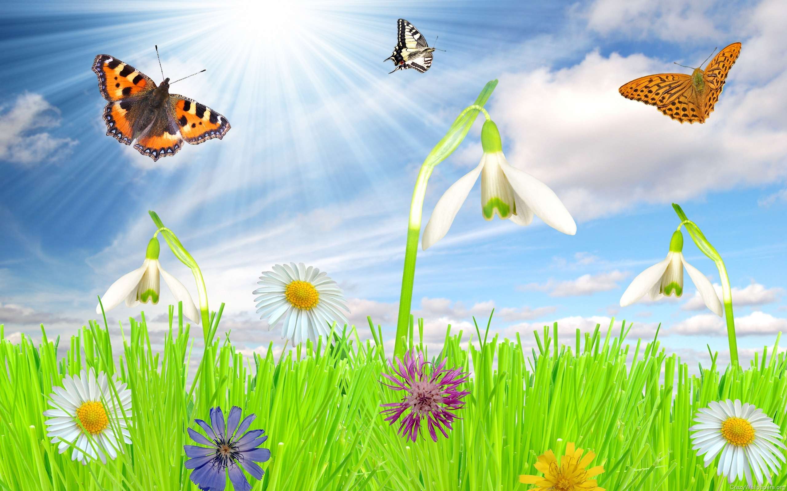 2560x1600 Wallpaper Desktop Spring Viewing Gallery 3D Spring Desktop
