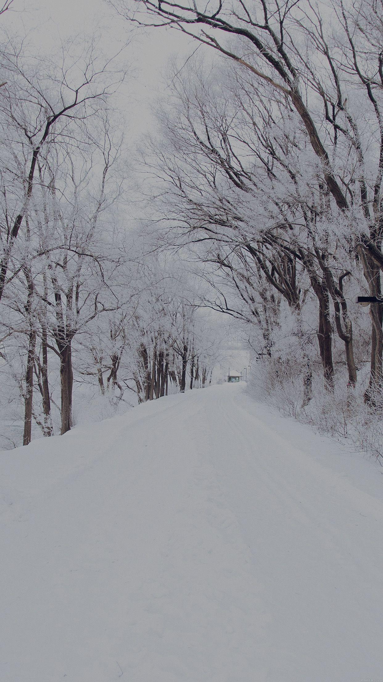 1242x2208 Winter Road Romantic Nature Mountain Snow