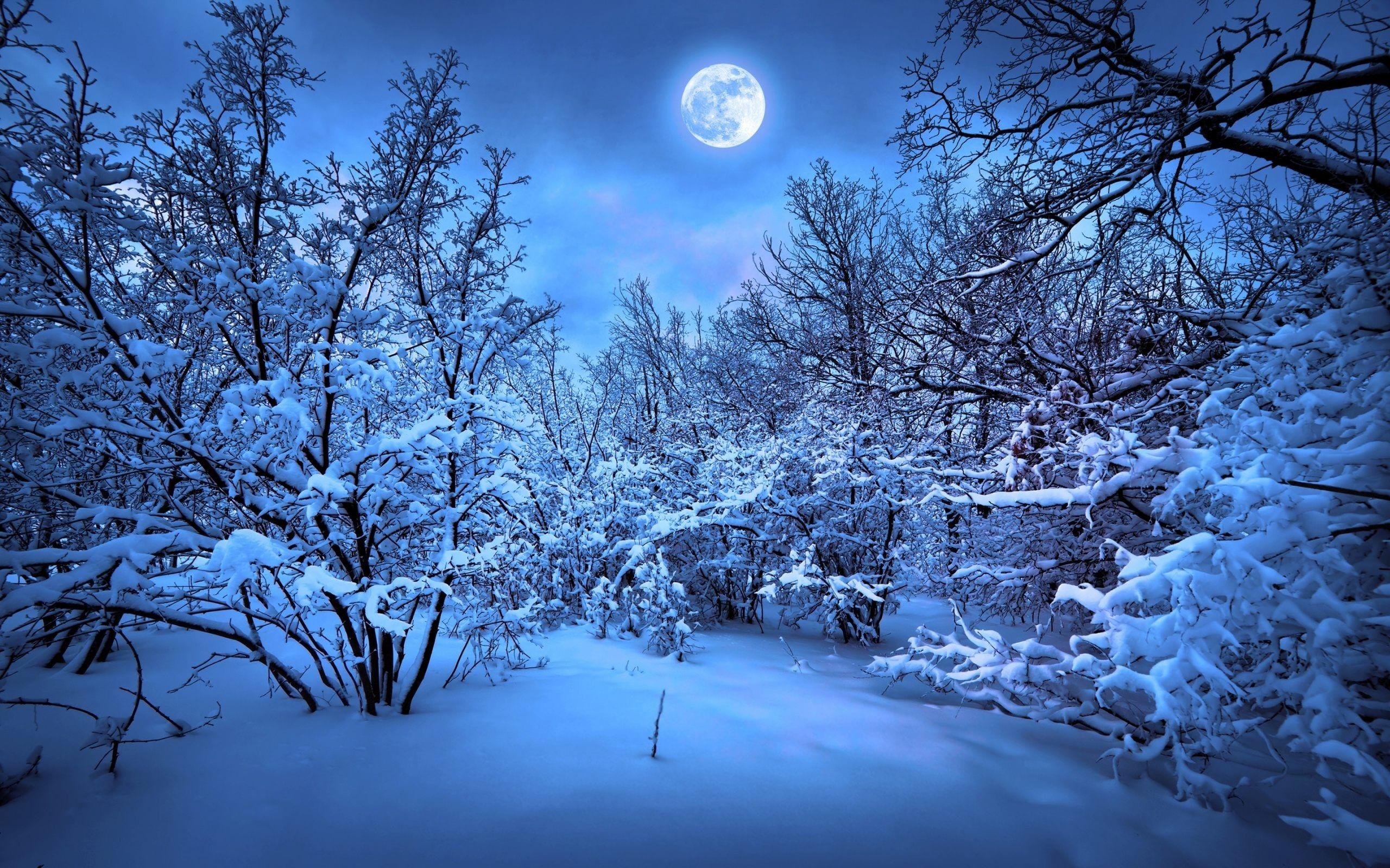 2560x1600 Winter Night Sky