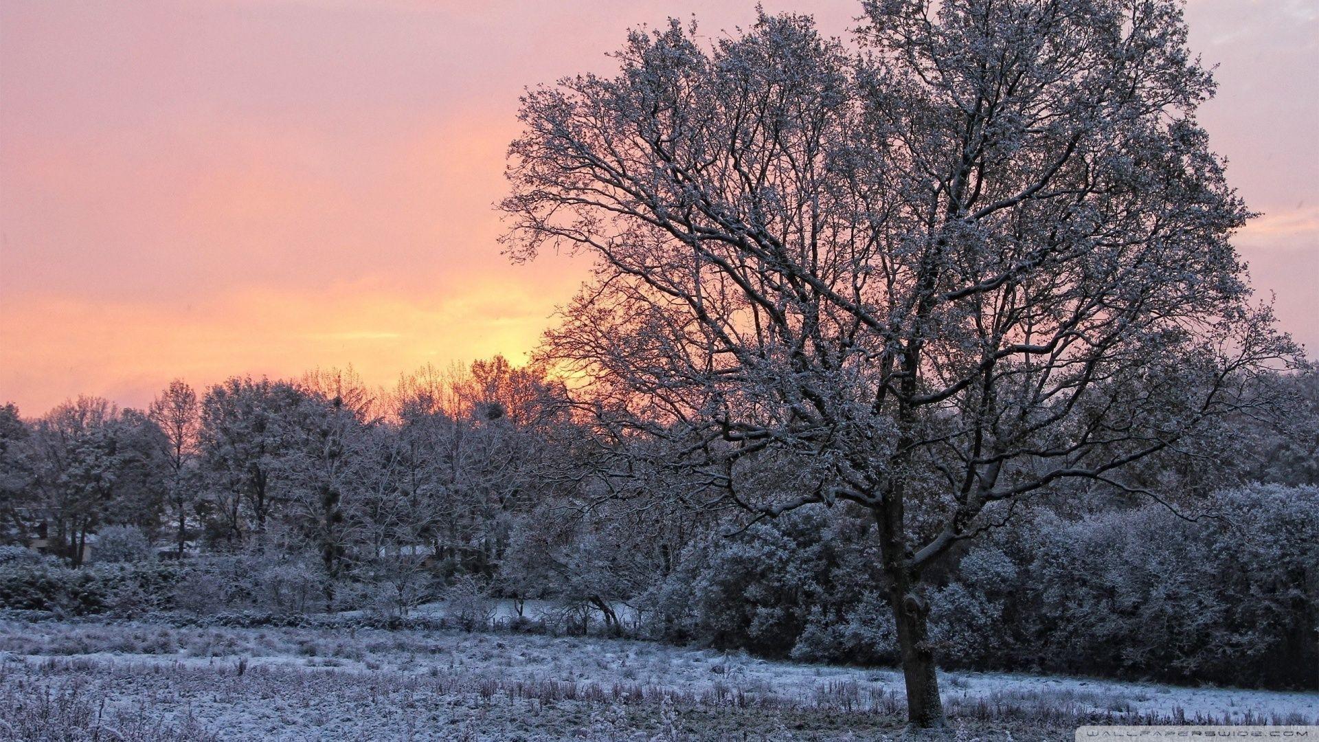 1920x1080 Pink Winter Sky ❤ 4K HD Desktop Wallpaper for 4K Ultra HD TV