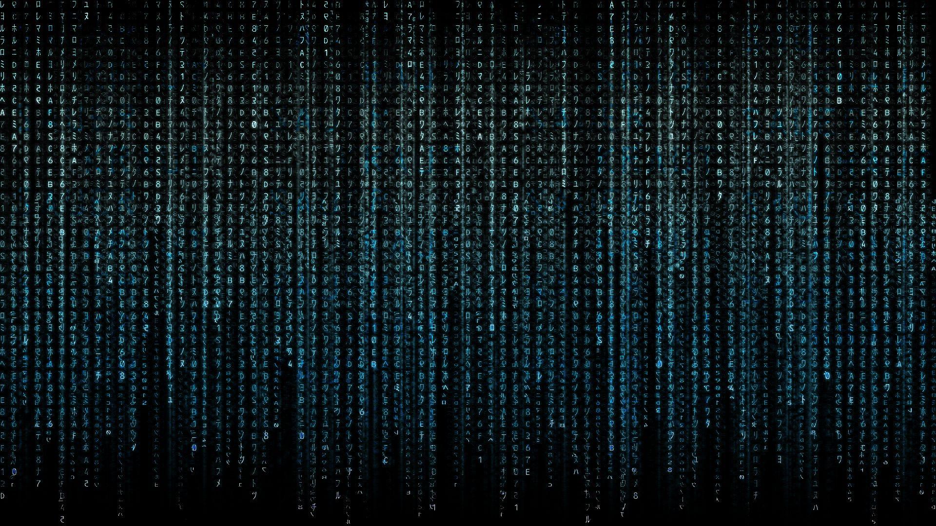 1920x1080 Programmer Code Wallpaper Background Free Download