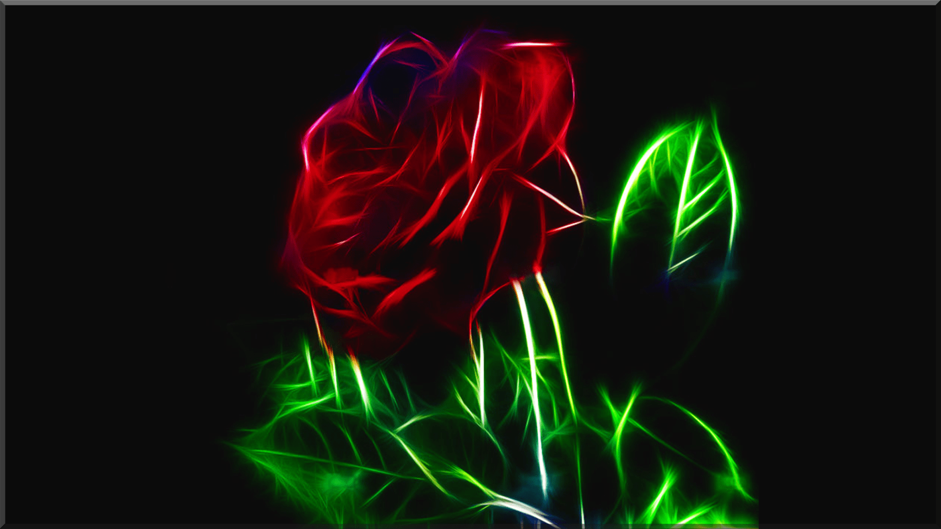 1920x1080 English Rose Desktop Backgroundth Century English Wallpaper, English Gardens Wallpaper and English Islamic Wallpaper