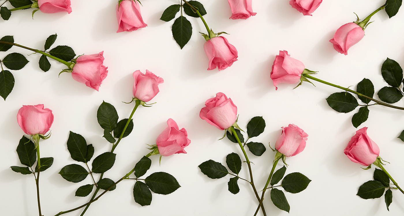 1400x750 Rose Computer Wallpaper