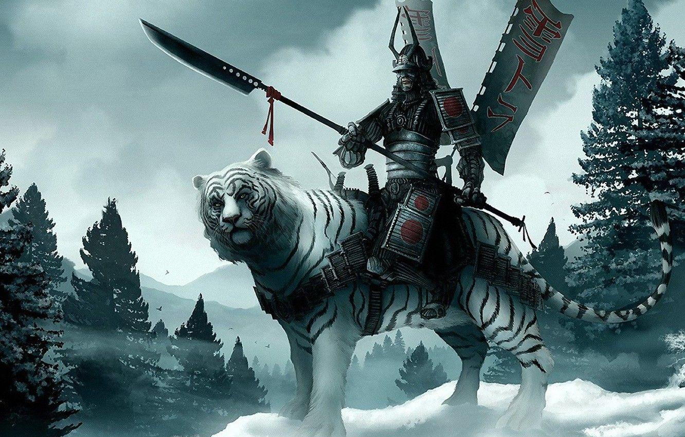 1332x850 Wallpaper snow, Tiger, warrior image for desktop, section ситуации