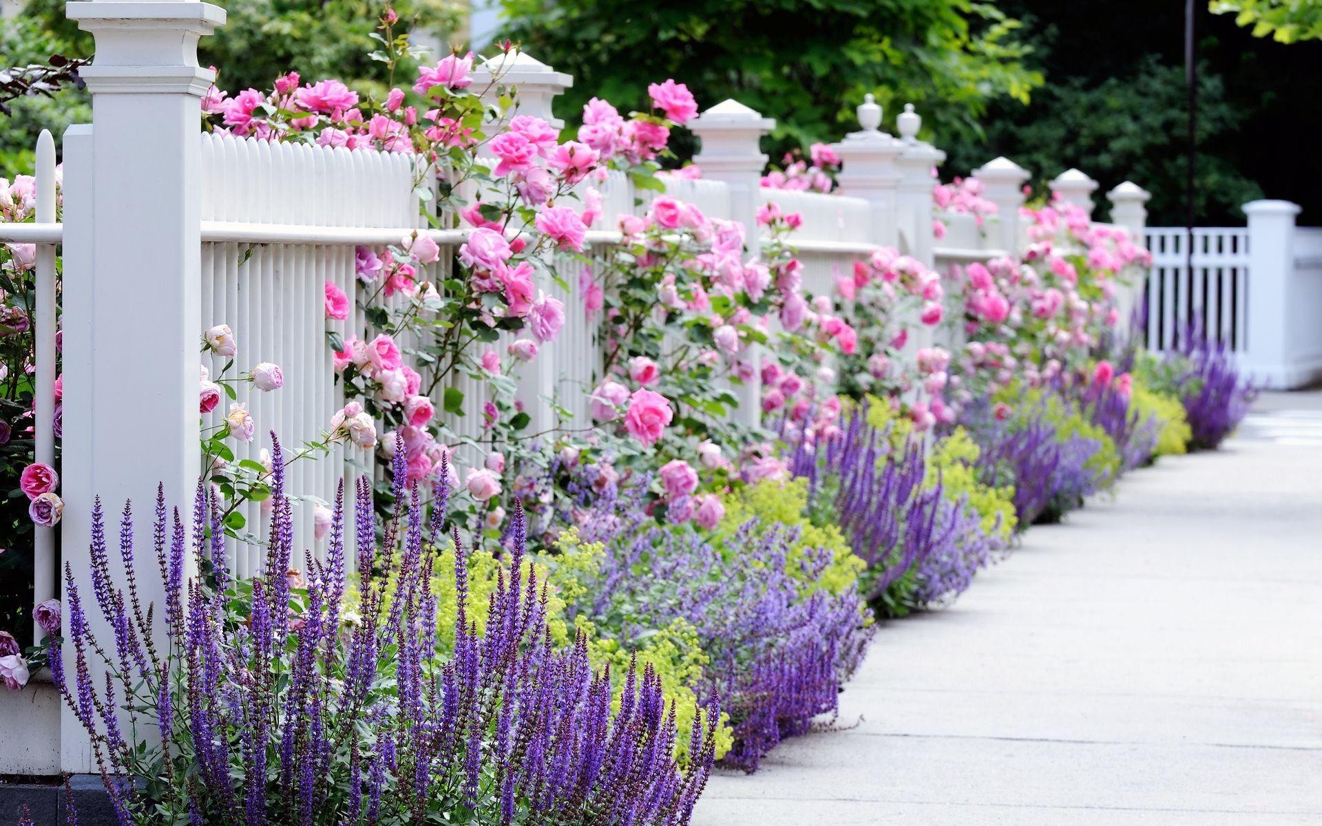 1920x1200 Garden Desktop Wallpaper